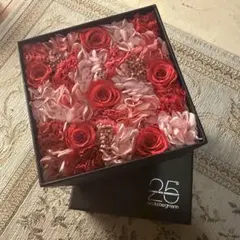 니콜라이 버그만 프리저브드 플라워 25주년