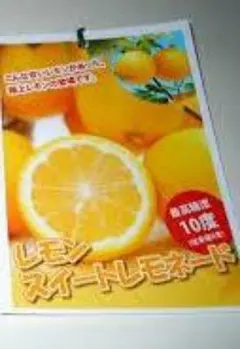 レモン　２鉢　スイートレモネード★こんなにも甘いレモネード味★接木