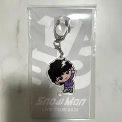 SnowMan 深澤辰哉 すのチルアクキー ぶら下がりシリーズ