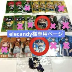 elecandy様専用ページ