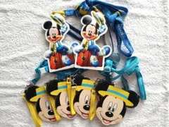 ディズニー バケーションパッケージ　パスケース　２種類６個セット
