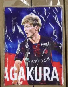 2025年最新】アルビレックス新潟 タオルマフラーの人気アイテム - メルカリ