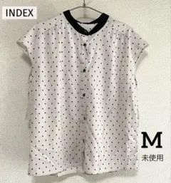 未使用 INDEX スクエアドット柄 バックフレアブラウス M 半袖 グレージュのサムネイル