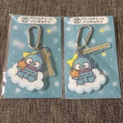 サンリオ キャラクター大賞 当たりくじ ㉒アクリルチャーム ハンギョドン 2個