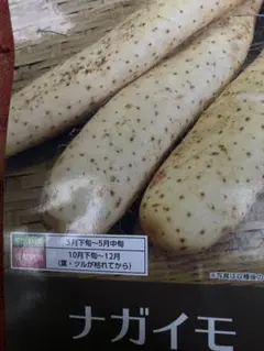 みっくさん様 リクエスト 2点 まとめ商品