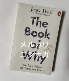The Book of Why Judea Pearl 英語　洋書