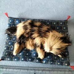眠ってる猫ちゃんの置物