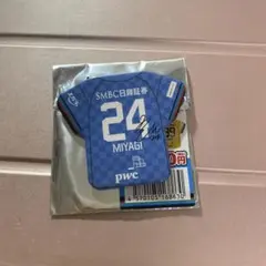 宮城天 ユニフォーム 2022 川崎フロンターレ いろいろユニフォーム 24 宮城天選手 - メルカリ