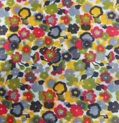 リバティプリント Gleeson C 0.5m