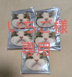いちご様専用