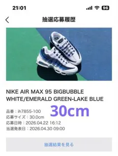 ⚜️NIKE⚜️AIRMAX 95 ブルーグラデ 28.0cm 2026年モデル - メルカリ