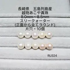 Item thumbnail for item 0575d095-d62b-482b-bfd9-d15619fdee60