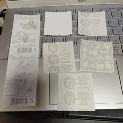 専用様　サンディライオン