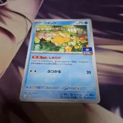 コダック ジムプロモ　しめりけ
