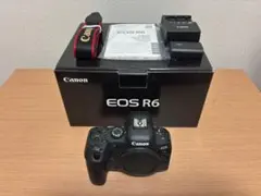 ショット数10,000回以下！□ほぼ新品□CANON EOS R6 MarkII - メルカリ