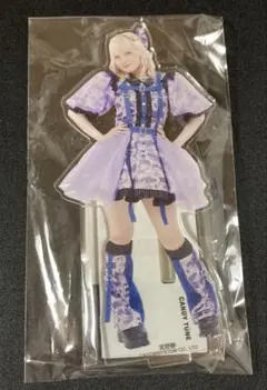 宮野静 直筆 アクリルフォトパネル CANDY TUNE 宮野静 直筆サイン入り アクリルパネル - メルカリ