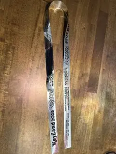 SHINee キー keyland 2025 銀テープ キーランド　銀テ