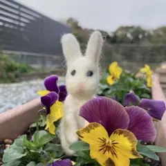 うさぷー様へ　３点