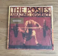 THE POSIES Amazing Disgrace レコード