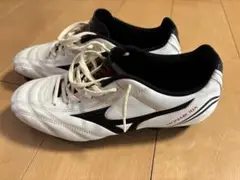Mizuno モナルシーダ　25.0cm