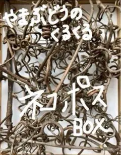 岩手県産山葡萄の蔓のくるくる★ネコポスA4★ハンドメイド