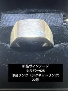 TAIGA OKUYAMA ホークスアイ シルバー925 リング 21号 中古 - メルカリ