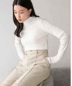 LOWRYSFARM フライスカラータートル