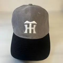 Item thumbnail for item 083c2edb-b9a5-4aba-bd70-a41c6f780d47