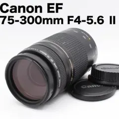 canon kiss x7望遠レンズセット/ Canon 75-300mm camerart-shop_canon-eos-kiss-