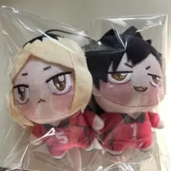 ハイキュー ちょぴぬいぷち 黒尾鉄朗 孤爪研磨 音駒 マスコット