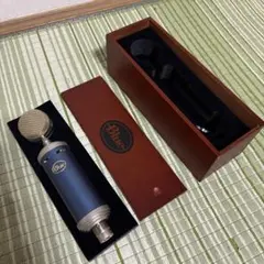 今月限定値下げ！ Blue Kiwi コンデンサーマイク 専用ケース付き 希少