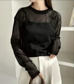 【新品未使用】ANDSEARCH 刺繍シアートップス/ 黒/長袖シアートップス