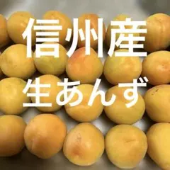 信州産　生あんず　箱込み1キロ⑥￼のサムネイル