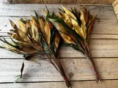 大吉様 リクエスト 2点 まとめ商品