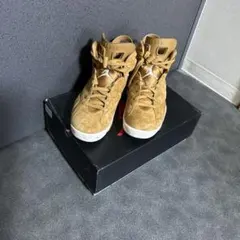 Nike Air Jordan 6 Retro 