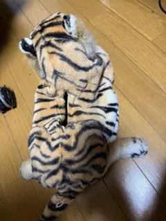 Item thumbnail for item a5c76651-6d92-4aeb-af24-7f14202357f1