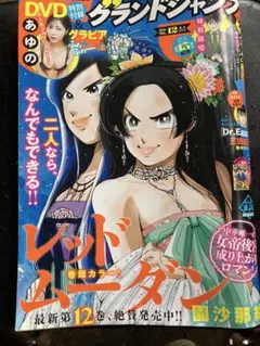 週刊少年ジャンプ 2013年33号 鳥山明 新連載 ジャコ - メルカリ