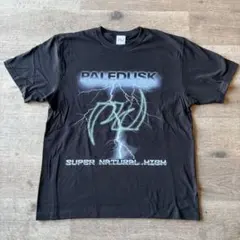 Paledusk ペイルダスク バンドTシャツ バンT 黒 メタルコア - メルカリ