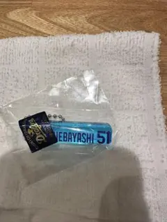 Item thumbnail for item c1047d99-46a1-4b63-a379-c918f9f7d6b5