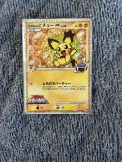 ピチュー SPカード レベル30