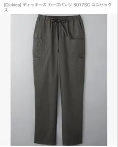 Dickies ディッキーズ カーゴパンツ 5017SC