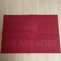 新品 浦和レッズ 2019  ACL レプリカ ユニフォーム 汰木康也 2025年最新】汰木康也 ユニフォームの人気アイテム - メルカリ