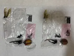 いきもの大図鑑アドバンス ヘラクレスエクアトリアヌス ヘラクレスオキシデンタリス