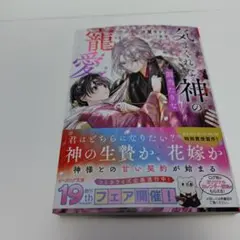 気まぐれな神の罰当たりな寵愛