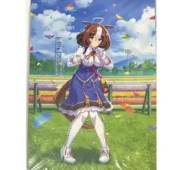 ウマ娘プリティーダービー メイショウドトウ シリコンバンド