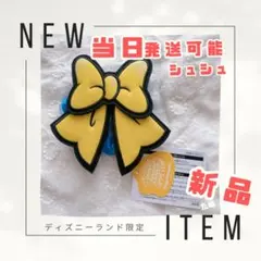 新品　当日発送可　ディズニー　パルパルーザ　ドナルド　2025