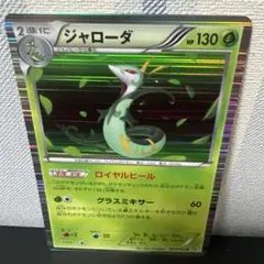 匿名送料込ジガルデ CP5 幻·伝説ドリームキラコレクション 021/036