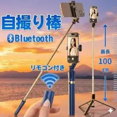 Item thumbnail for item 3ca7d81f-f2b8-4fc0-b3b8-71f8dabd4ac4