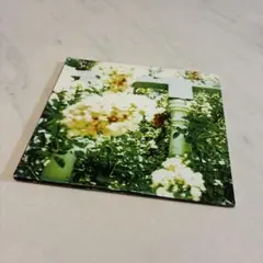 UNWED SAILOR/LITTLE WARS