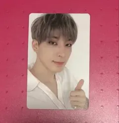 ウォヌSEVENTEEN Ode to You DVD トレカ